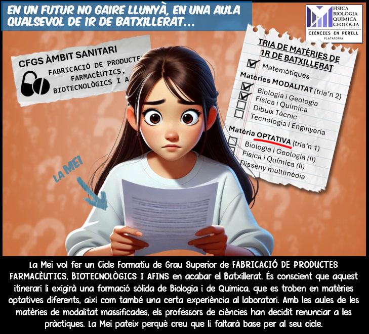 WhatsApp Image 2025-01-22 at 07.46.04