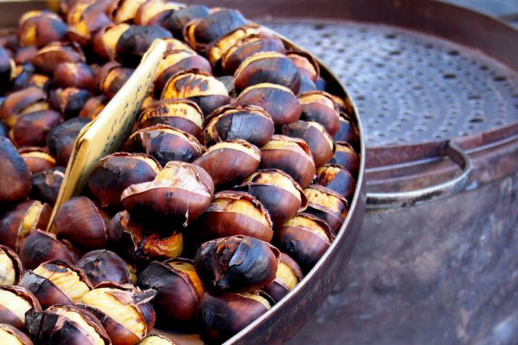 202111castaas2mesadetrabajo1_Mediano