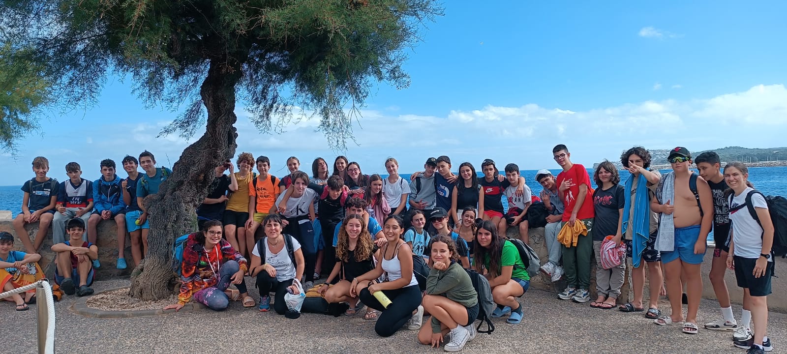 WhatsApp Image 2024-10-17 at 19.55.26