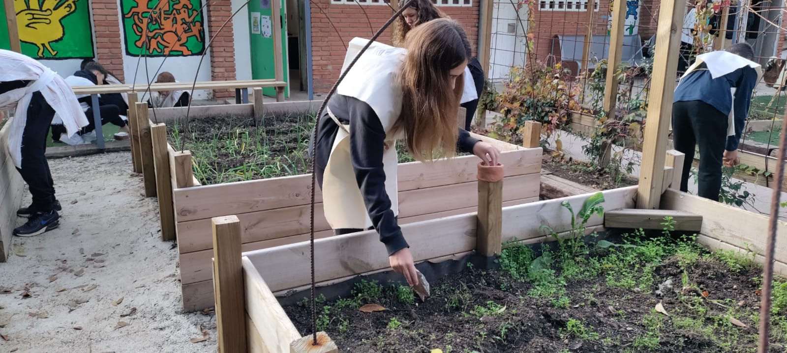 WhatsApp Image 2024-11-19 at 11.13.22 (2)