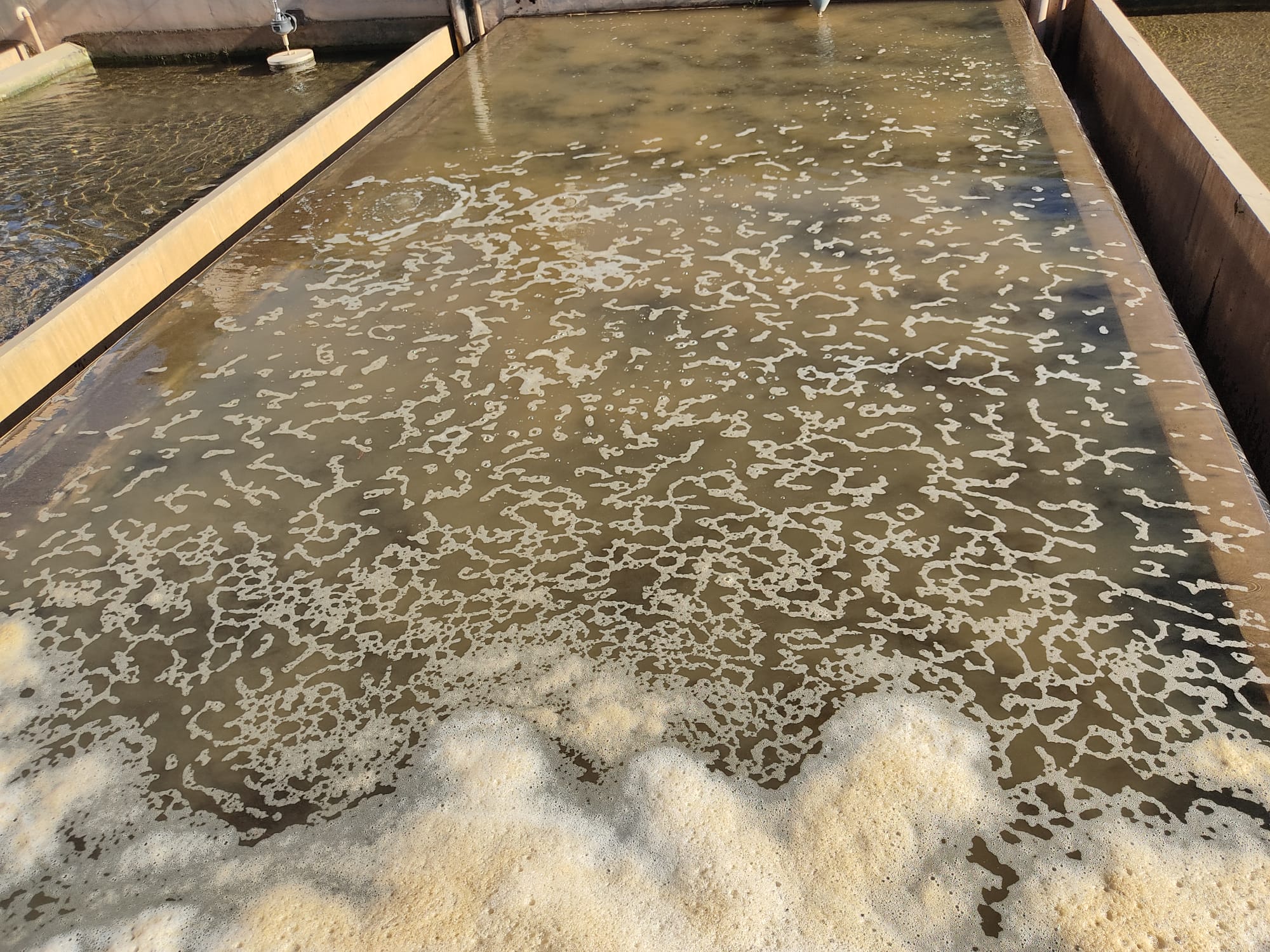 2024-11-22 at 17.33.13