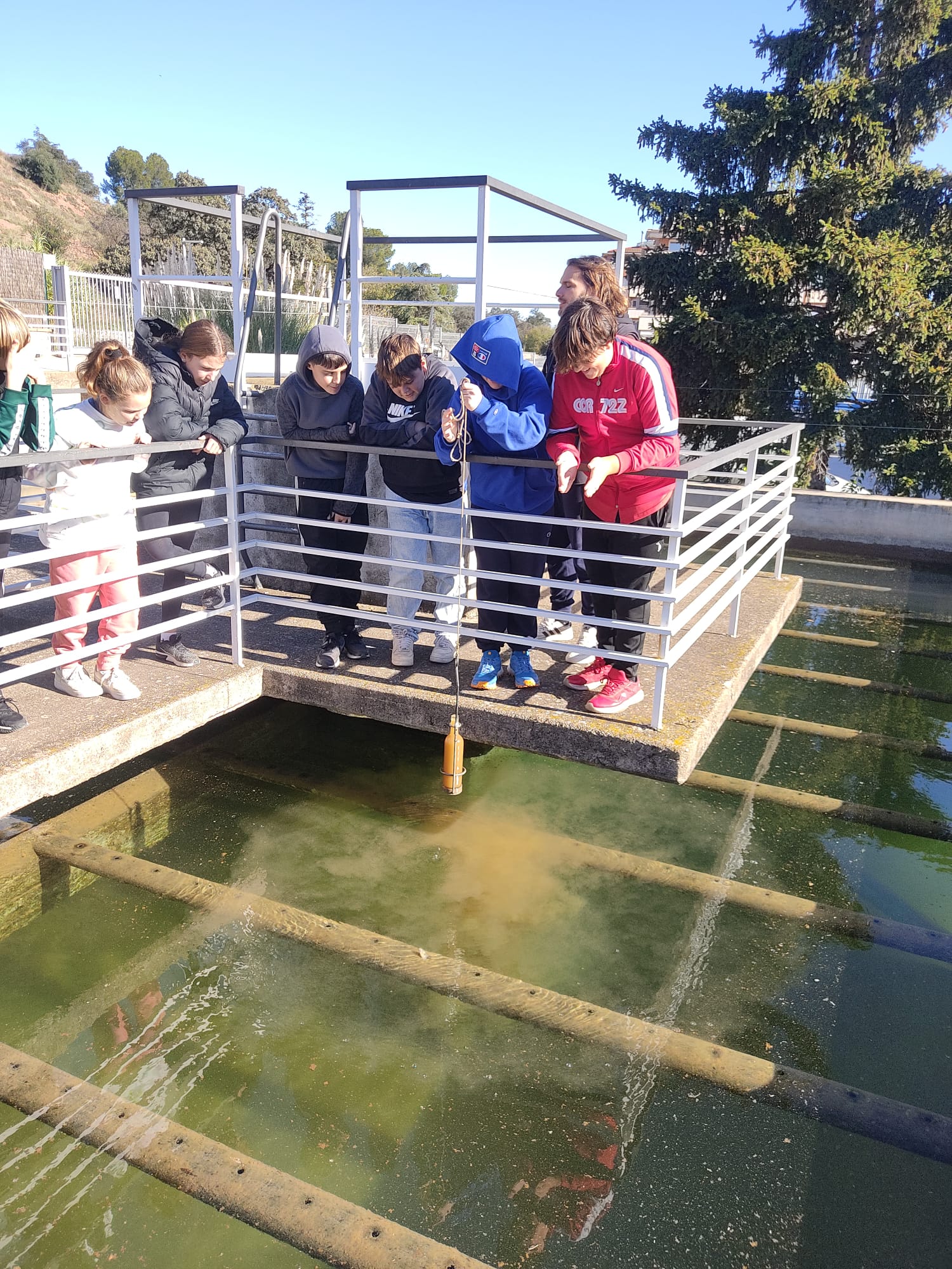 2024-11-22 at 17.33.14 (1)