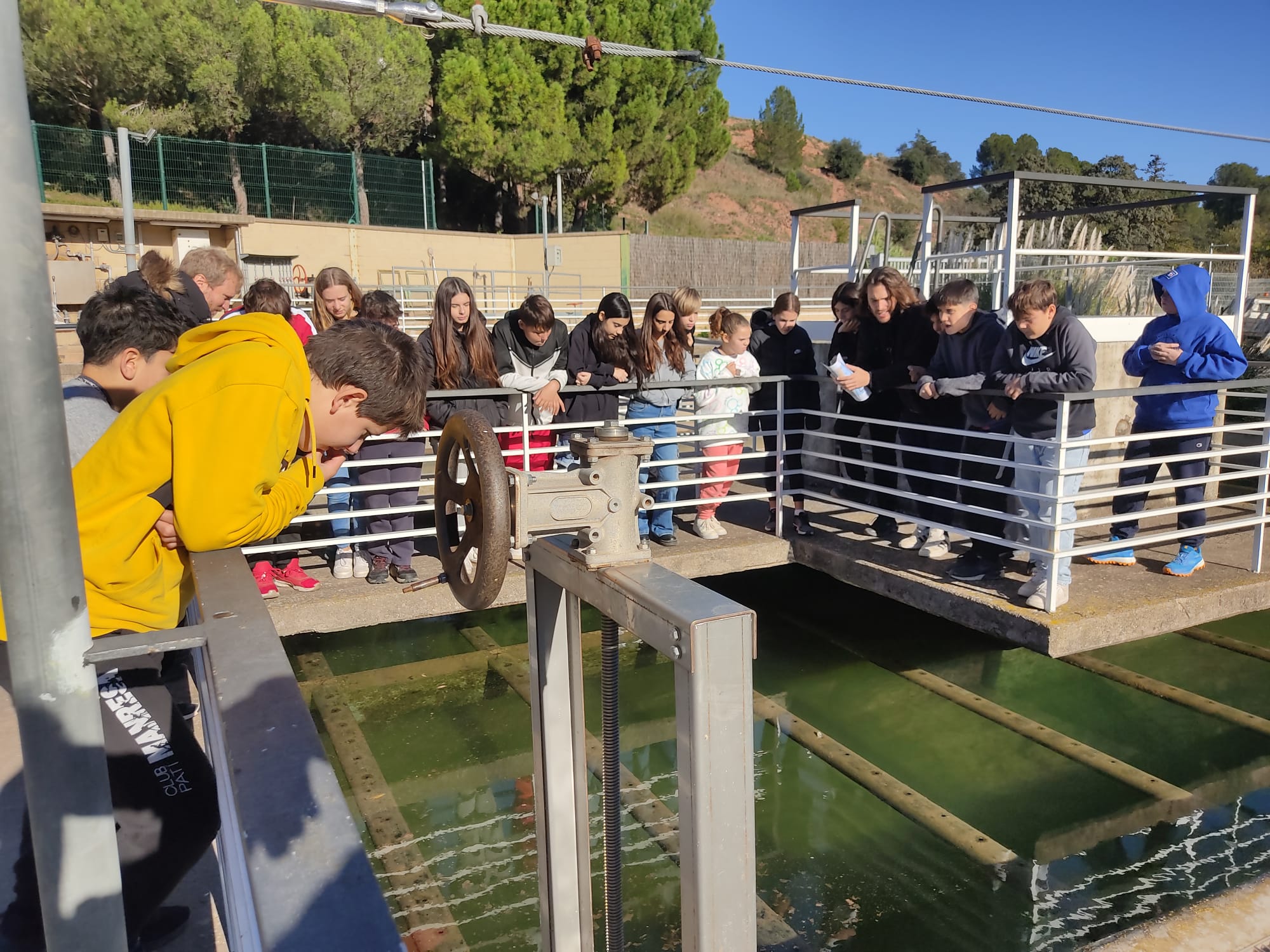 2024-11-22 at 17.33.14