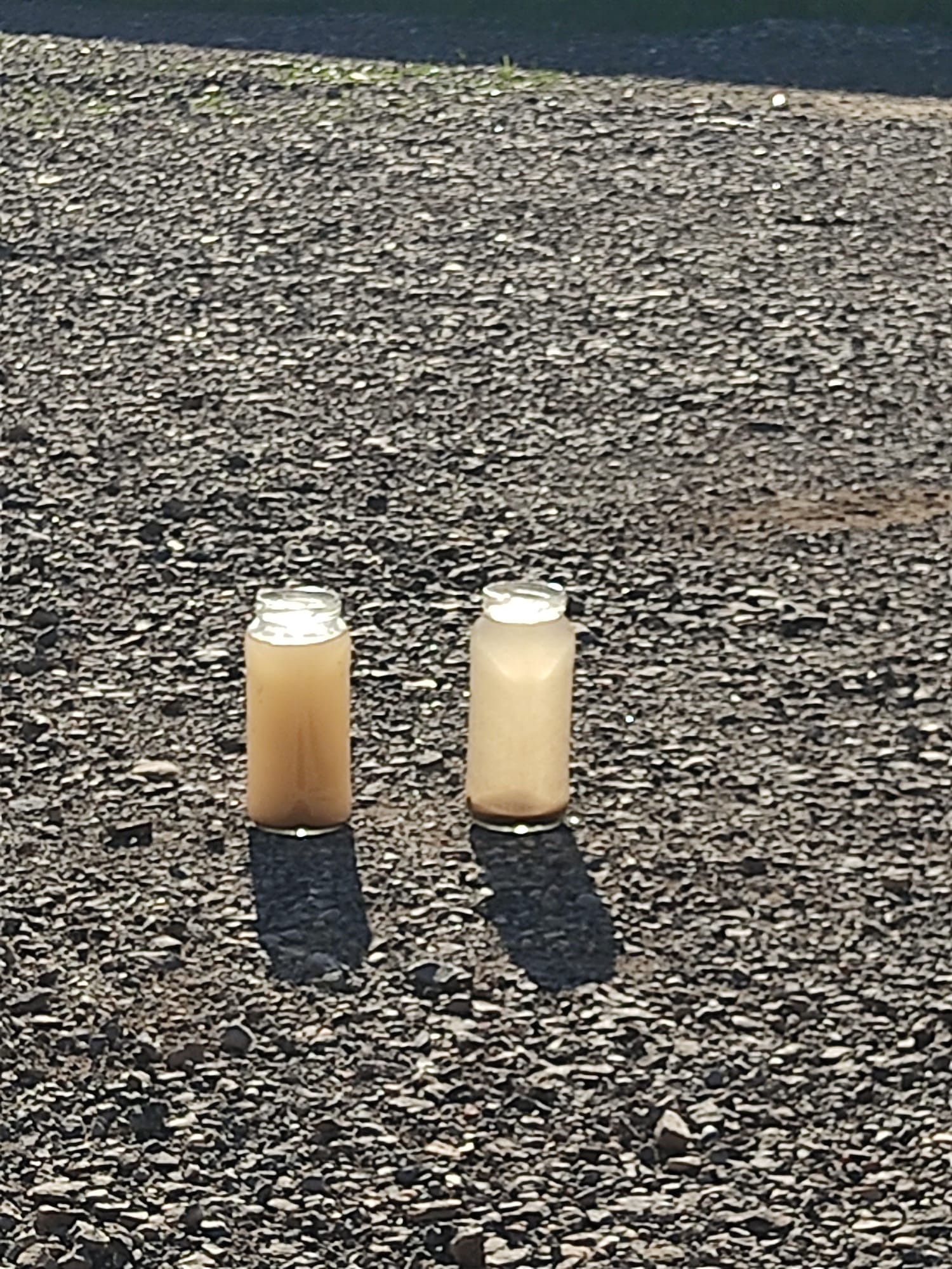 2024-11-22 at 17.33.15 (2)