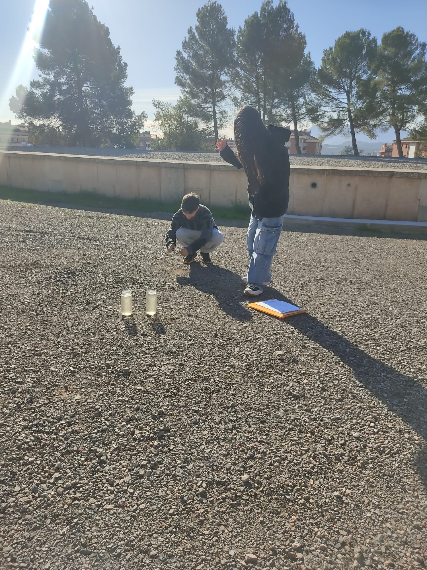 2024-11-22 at 17.33.15