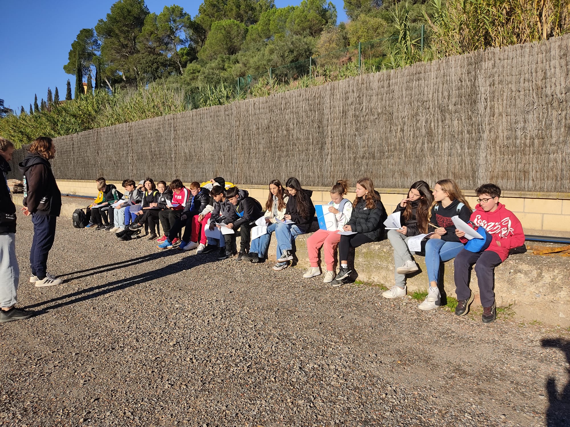 2024-11-22 at 17.33.17