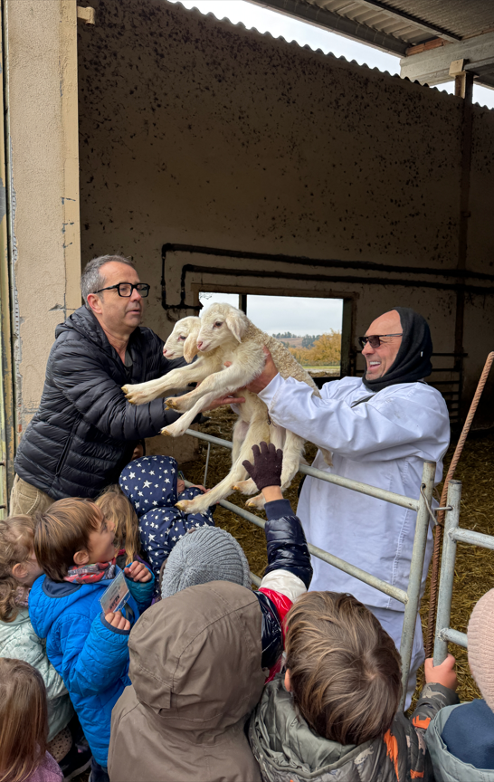 Captura de pantalla 2025-12-15 125809