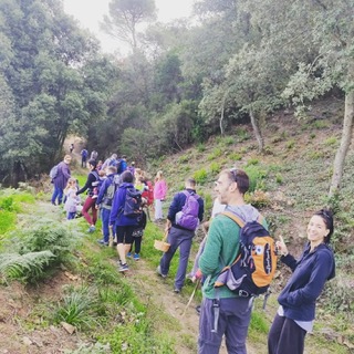 10958d2d-f6c8-40bf-ba87-62e643ae7b4f