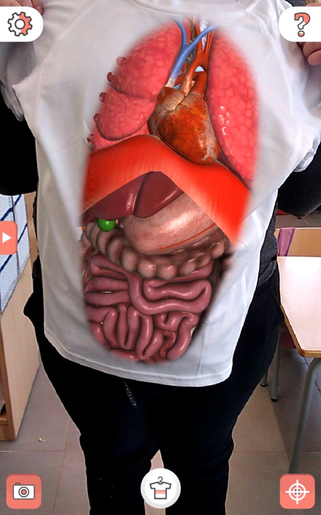 cos per dins