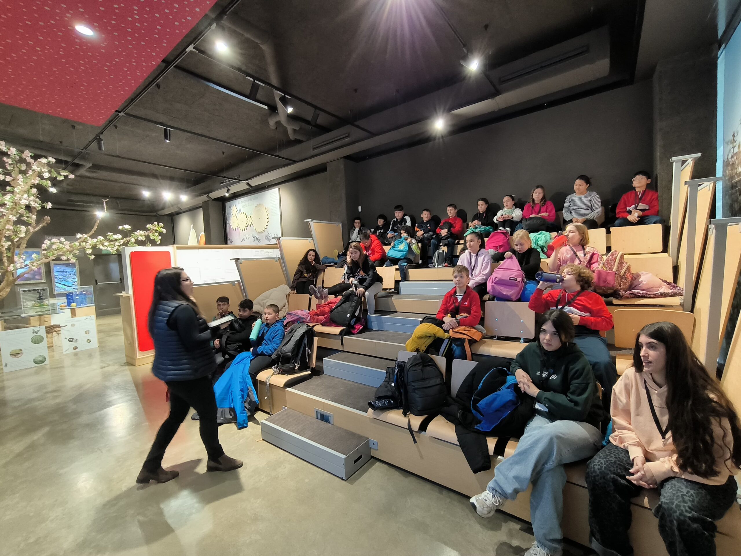 WhatsApp Image 2025-02-19 at 13.55.28