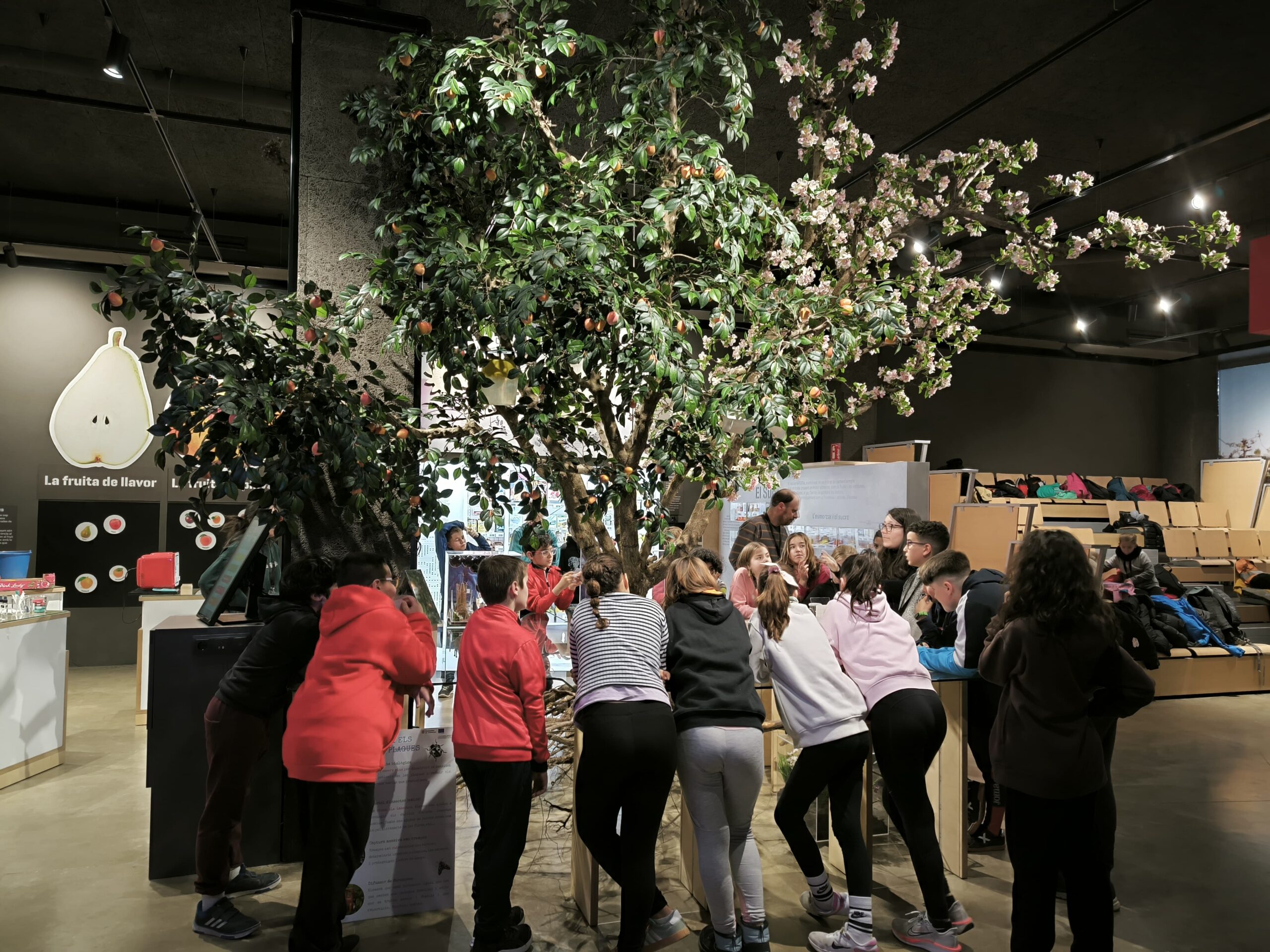 WhatsApp Image 2025-02-19 at 13.55.29 (1)