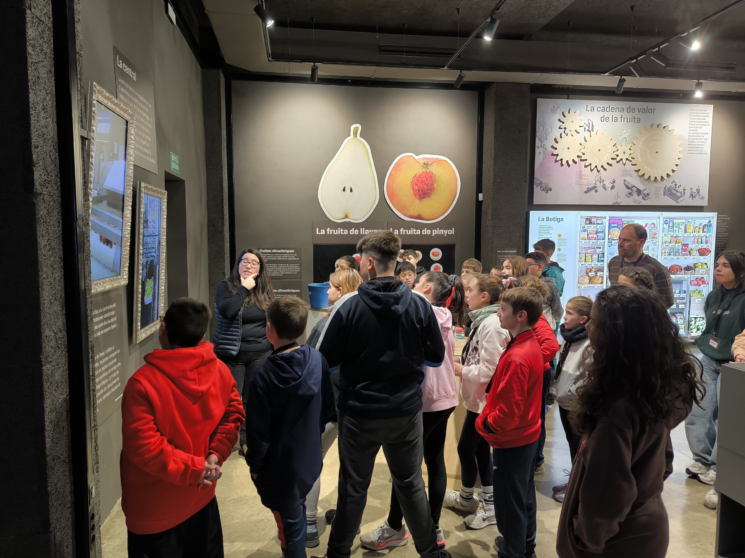 WhatsApp Image 2025-02-19 at 13.55.29