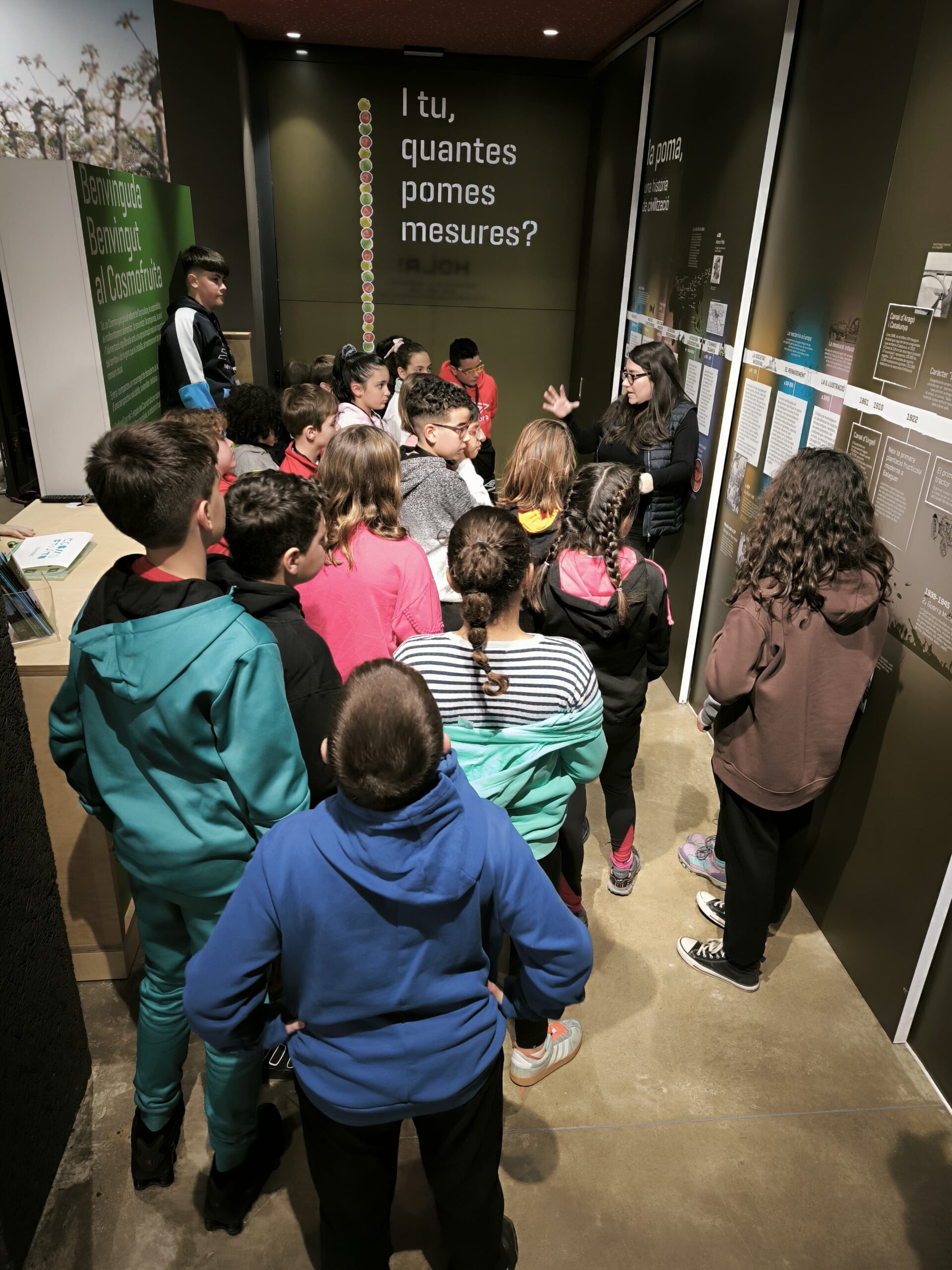 WhatsApp Image 2025-02-19 at 13.55.31