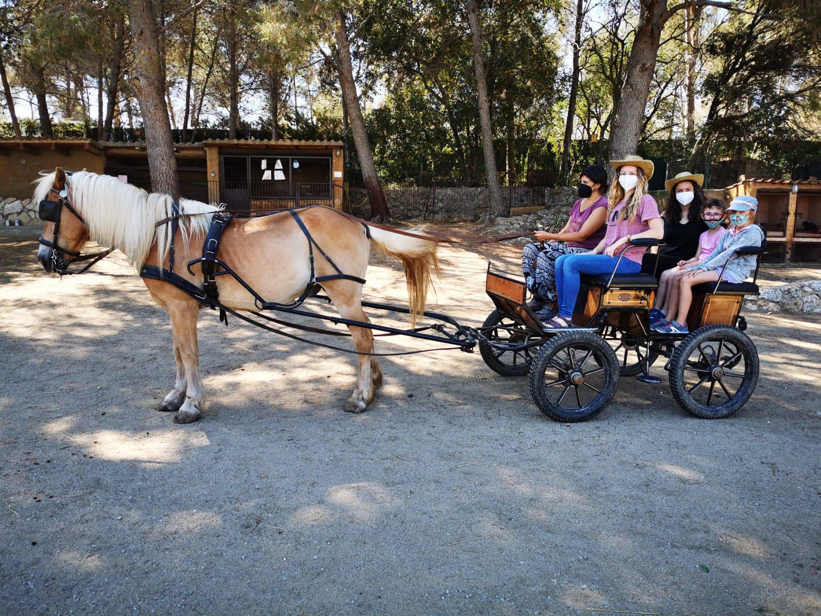 IMG-20210621-WA0006_compress13