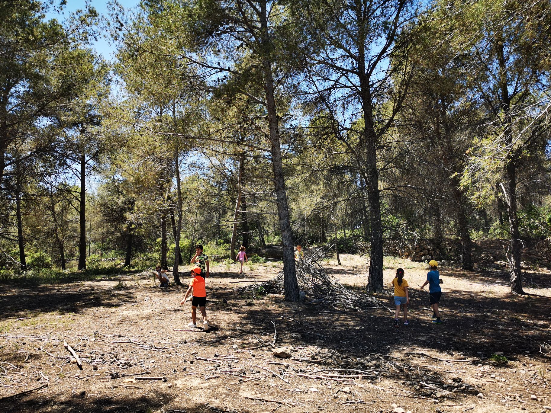 IMG_20210621_145401_compress53