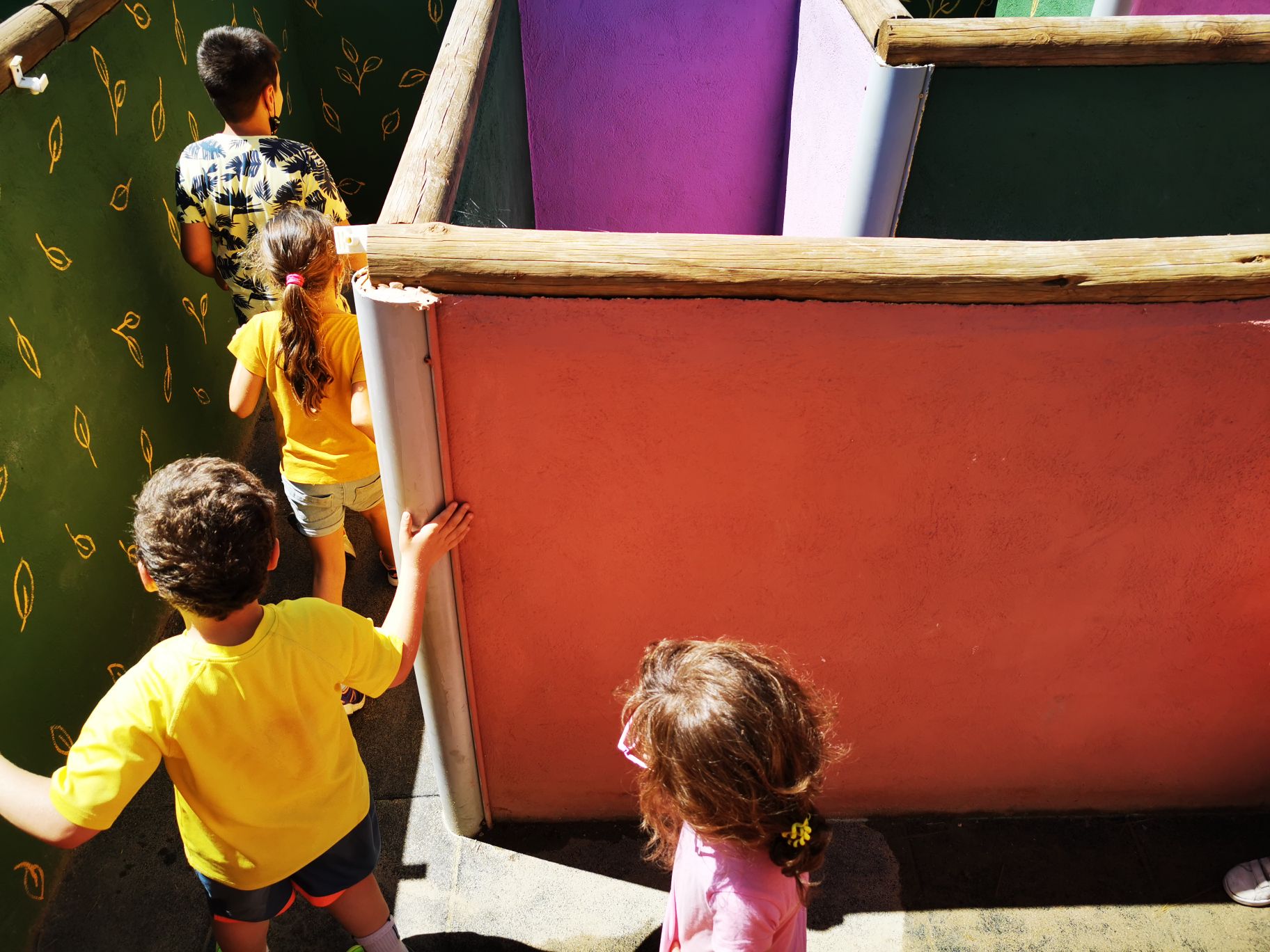 IMG_20210621_154604_compress38