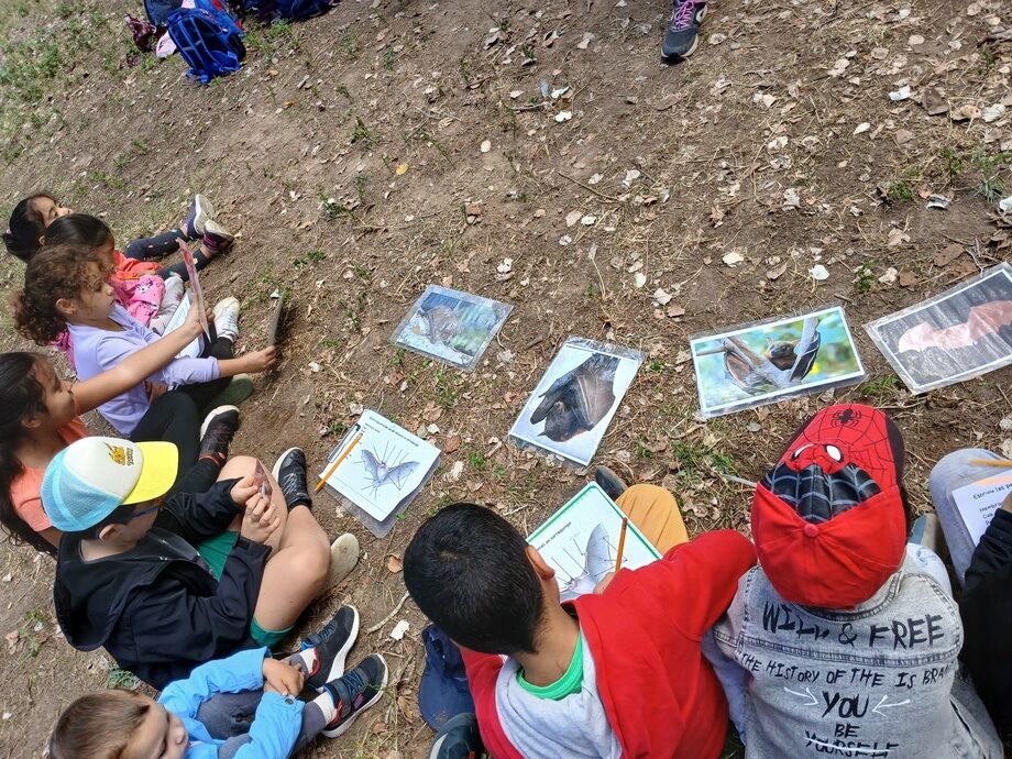 Tot l'alumnat de l'escola ha participat en el taller organitzat per l'associació Aube sobre ratpenats i ocells migradors, en un entorn privilegiat, el bosc de ribera d'Aldover.