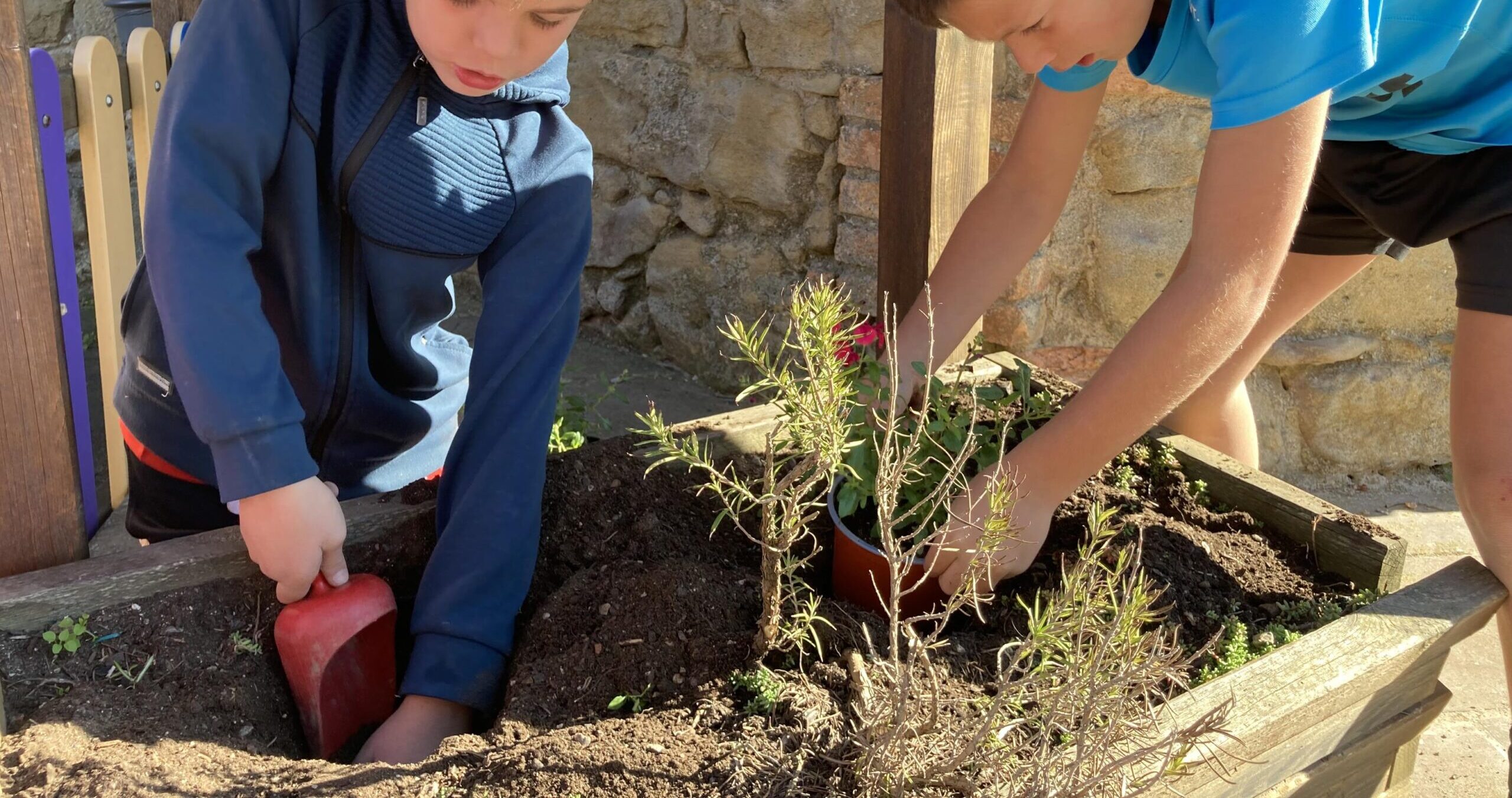 FOTOS LLOBES i LLOPS - web escola (setembre - octubre) (13) (Copy)