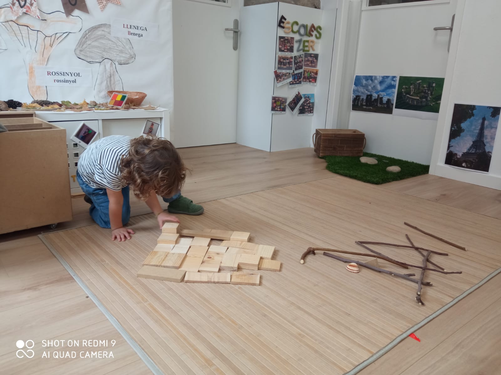 WhatsApp Image 2024-11-11 at 12.24.14