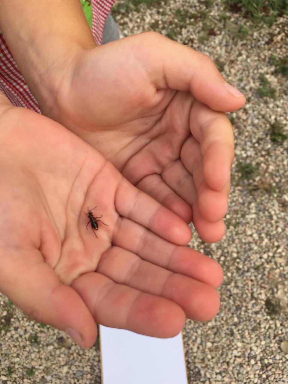 2874235e-00e8-4faf-b885-bd1518d1dc3b_Easy-Resize.com