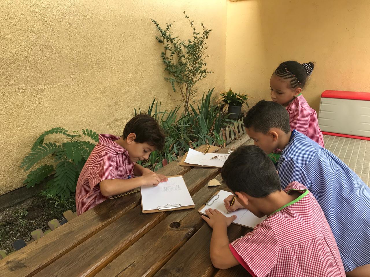 IMG_9538_Easy-Resize.com