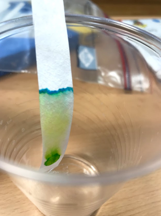 Captura de pantalla 2020-02-17 a les 19.33.54