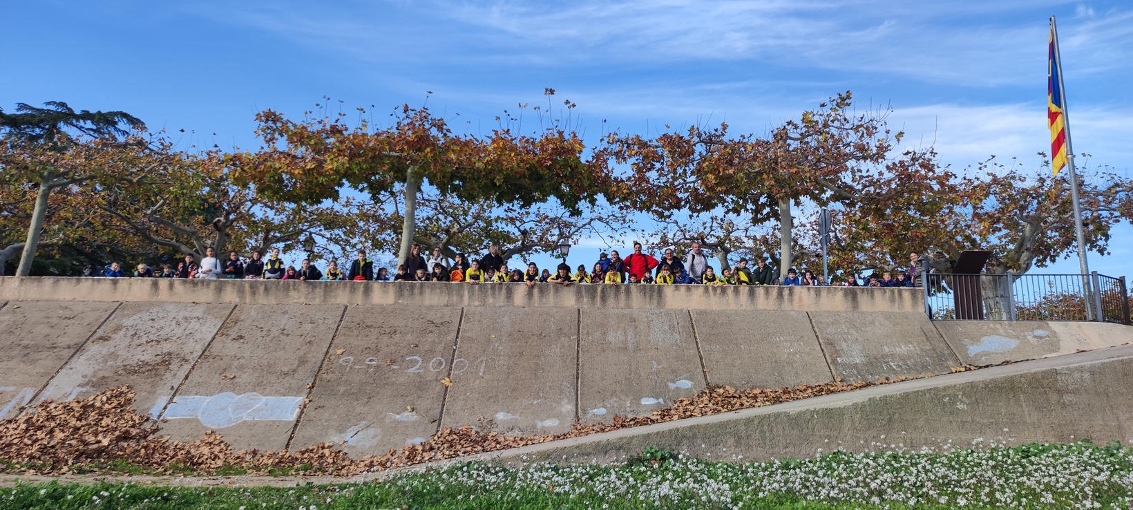 IMG_20241202_145738 (1)