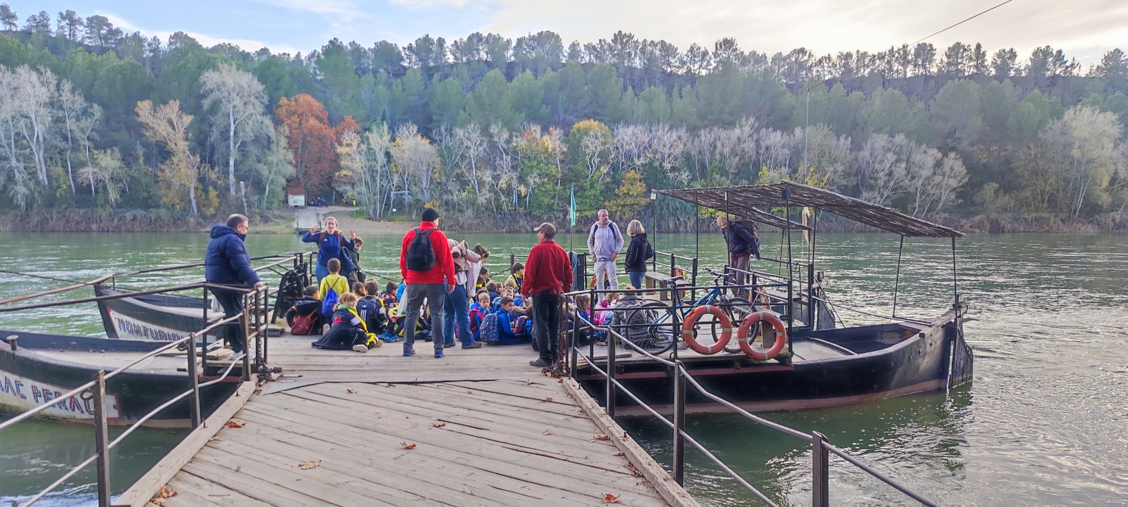 IMG_20241202_152430 (1)