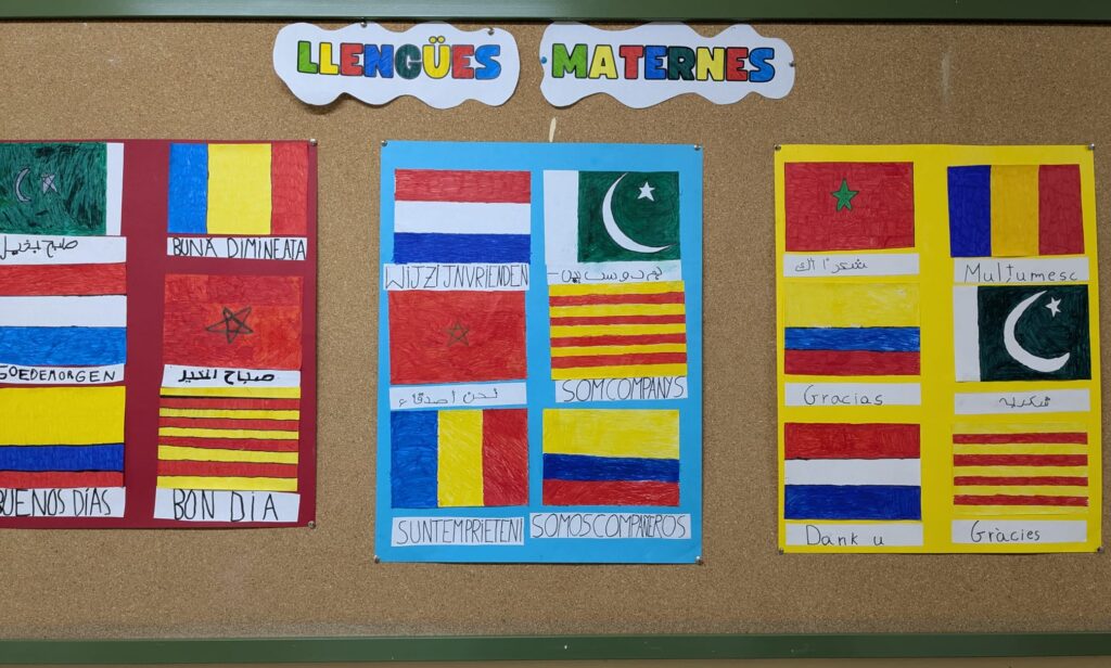 Llengua Materna 2025