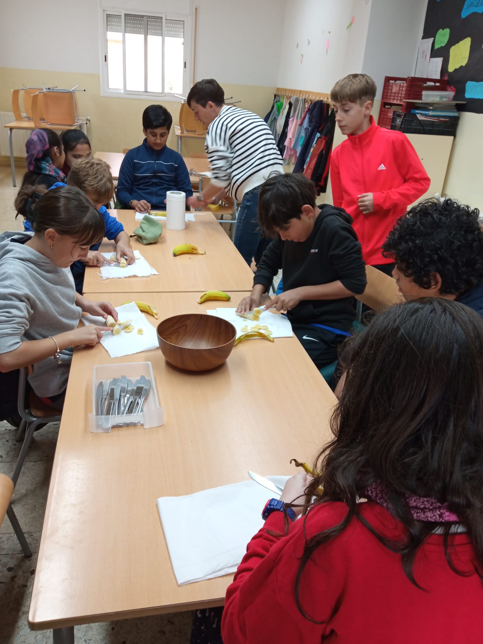 Llengua Materna 2025