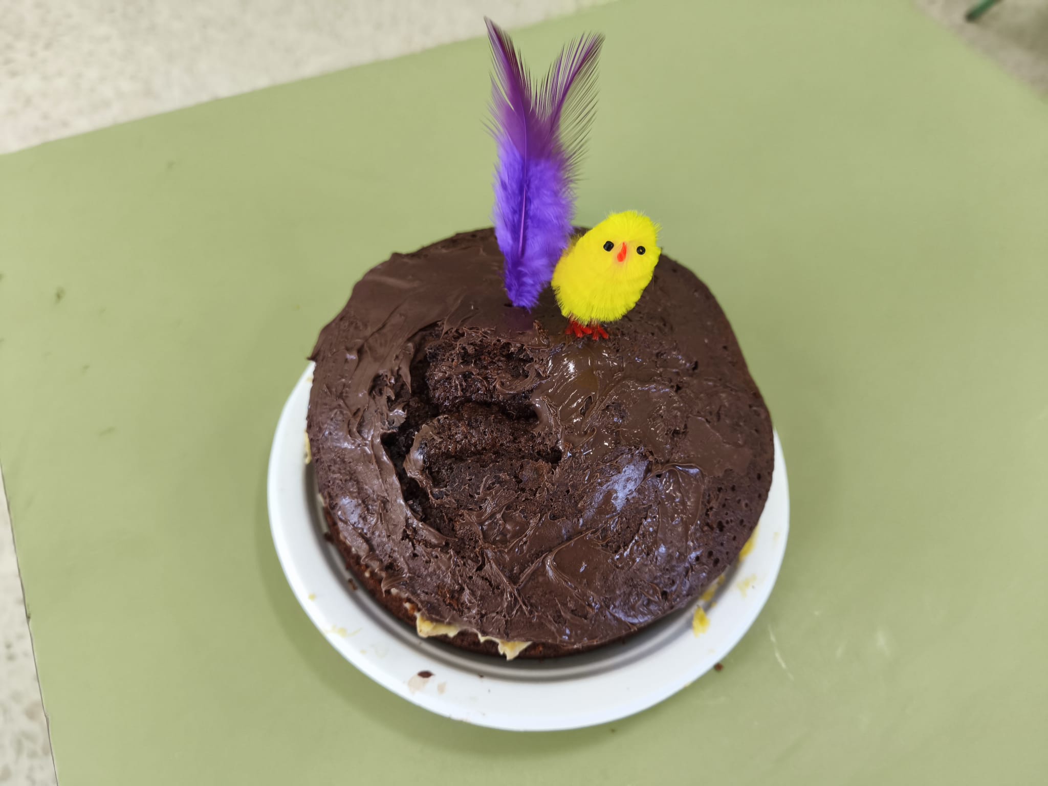 WhatsApp Image 2026-03-27 at 11.36.27