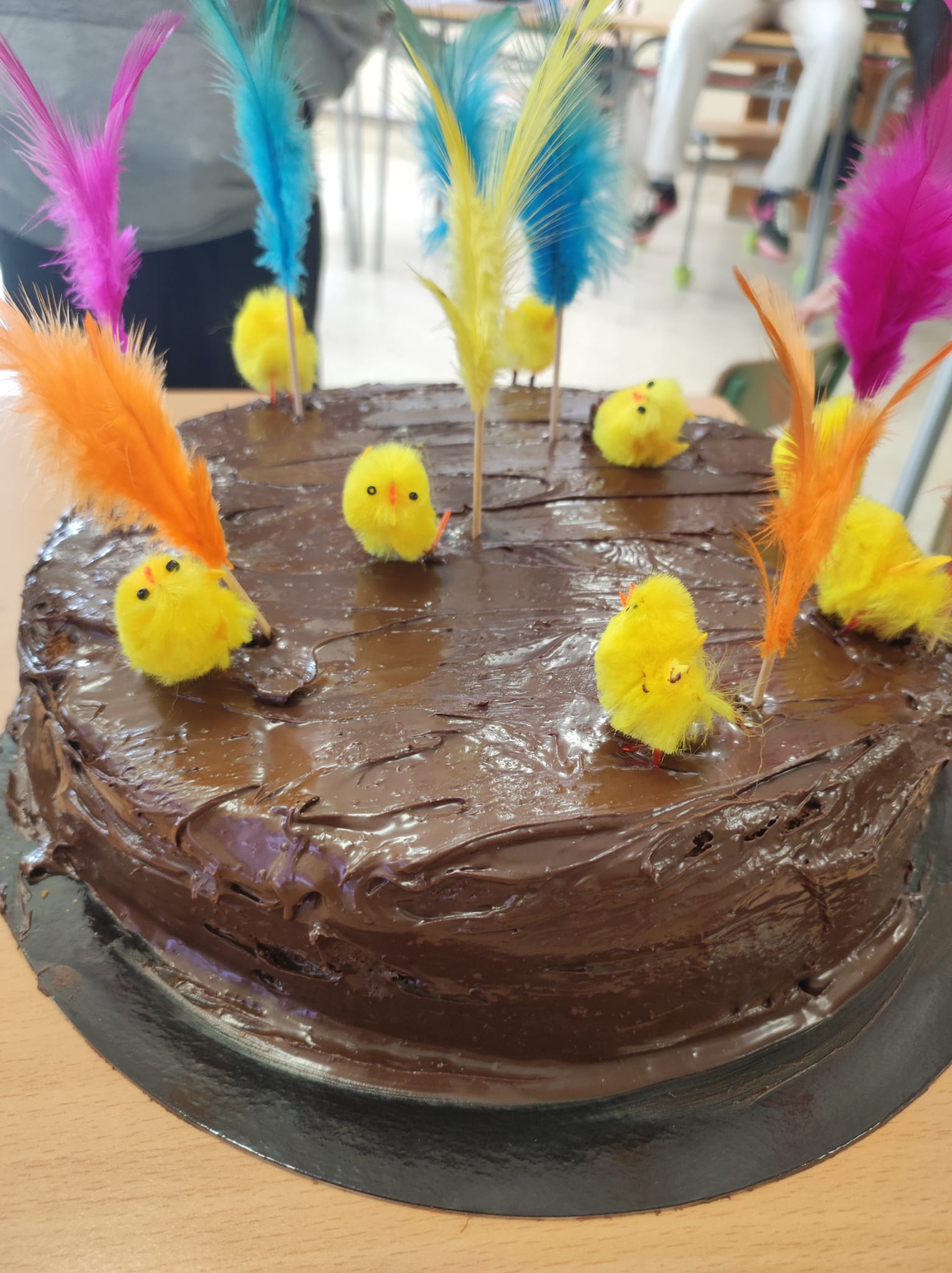 WhatsApp Image 2026-03-27 at 11.47.50