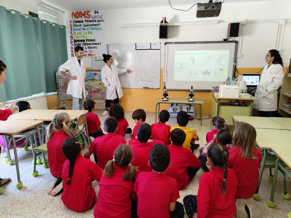 IMG_20240508_110714388