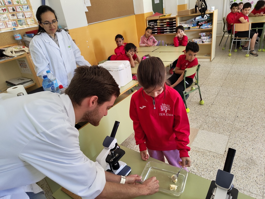 IMG_20240508_113736954