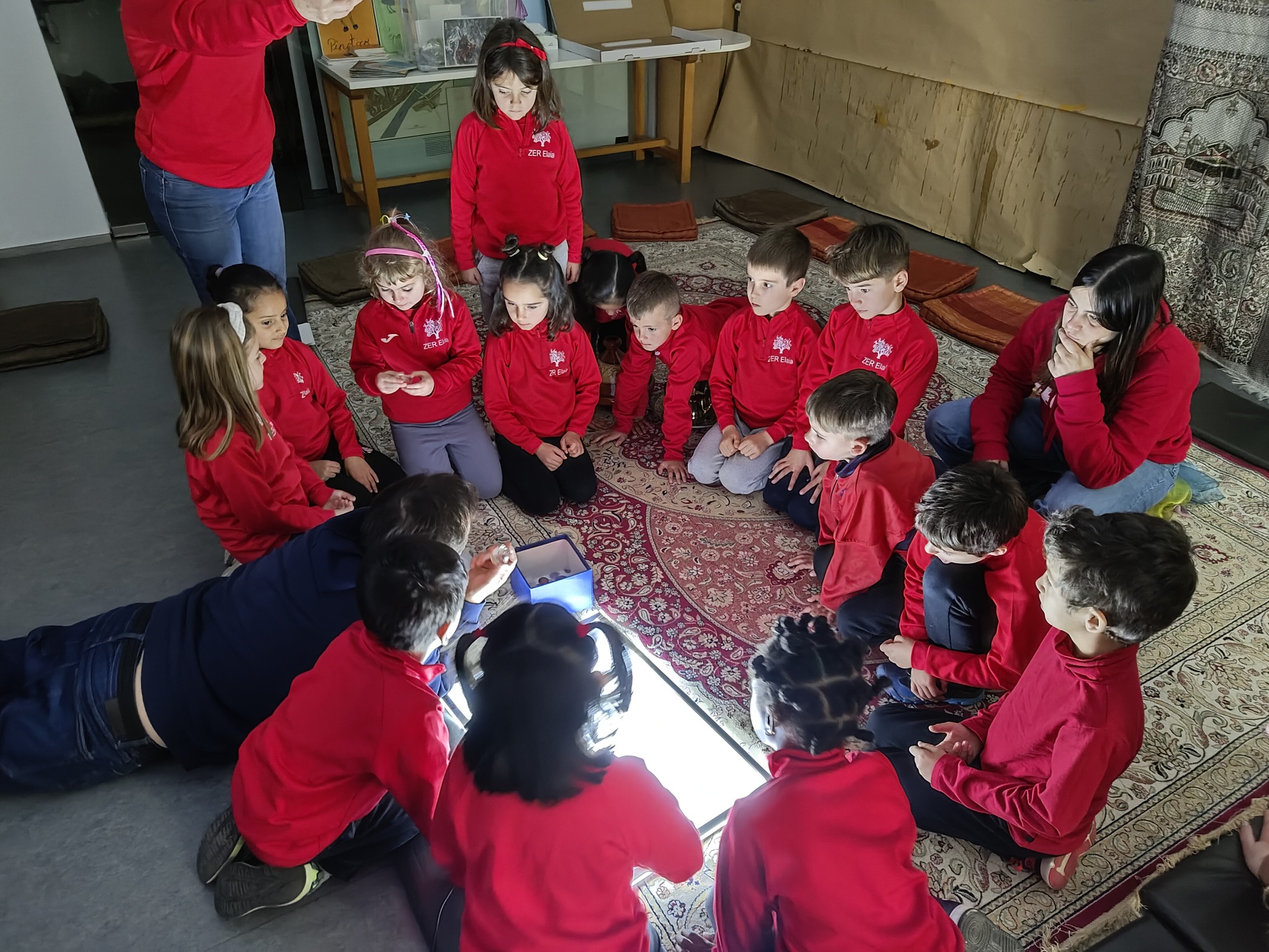 IMG_20250219_120532686 (2)