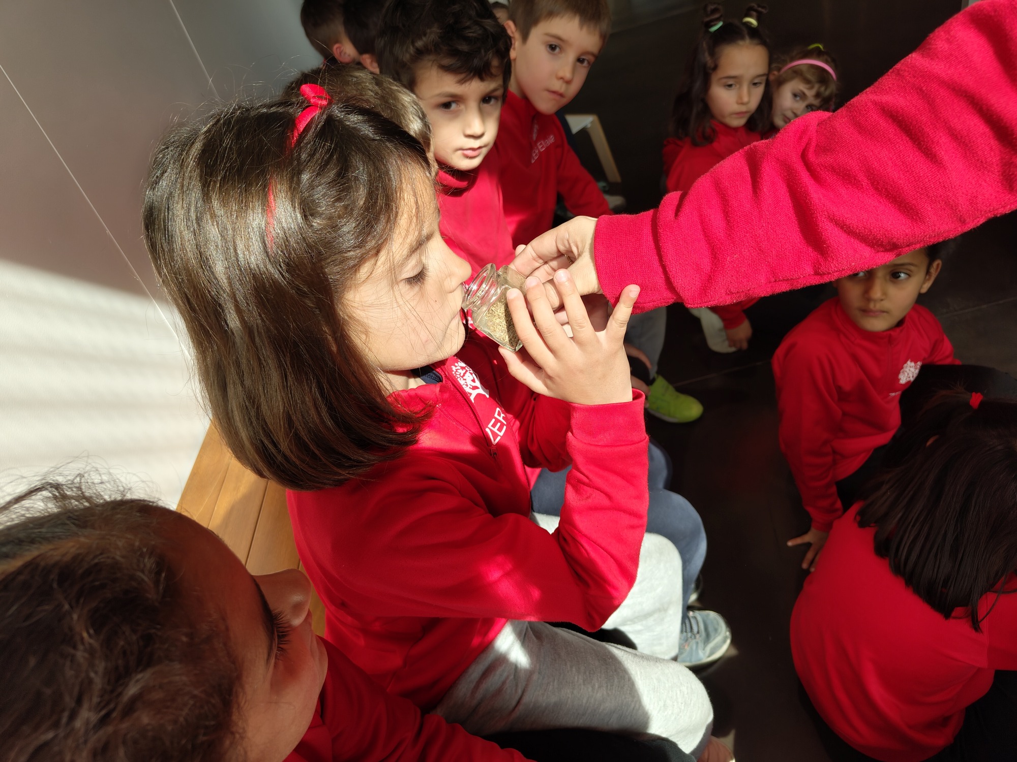 IMG_20250219_124810260 (1)