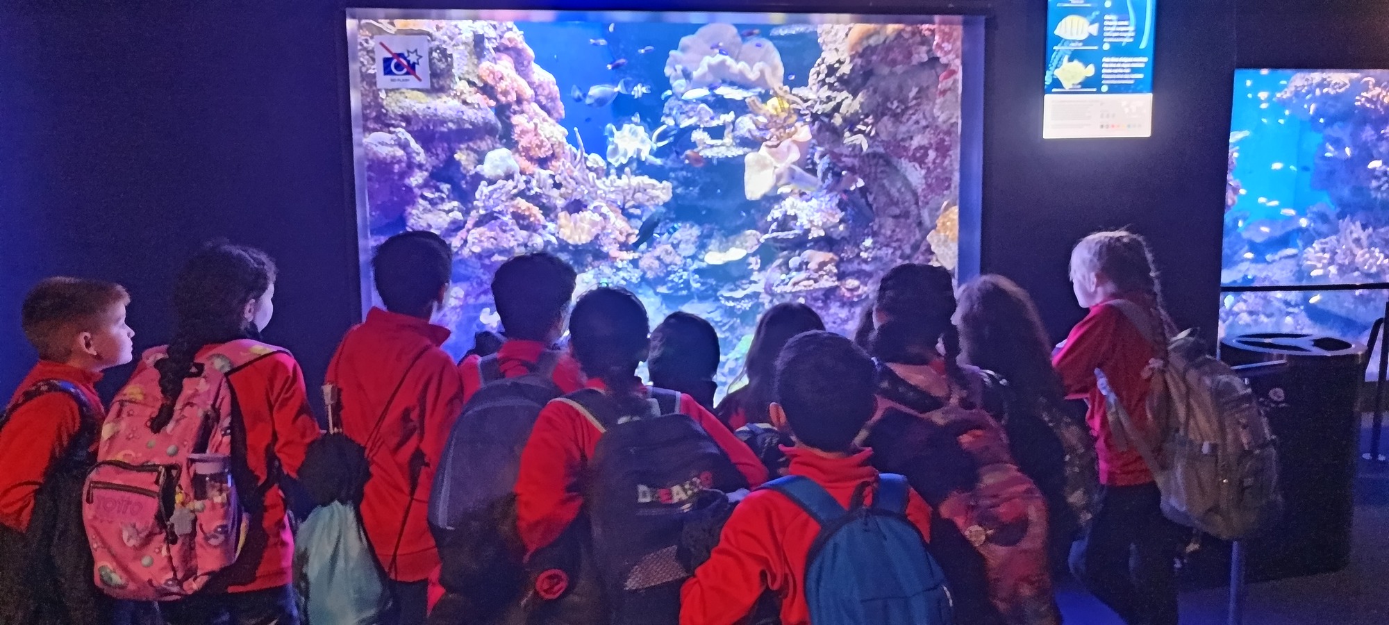 IMG_20250321_140642 (1)