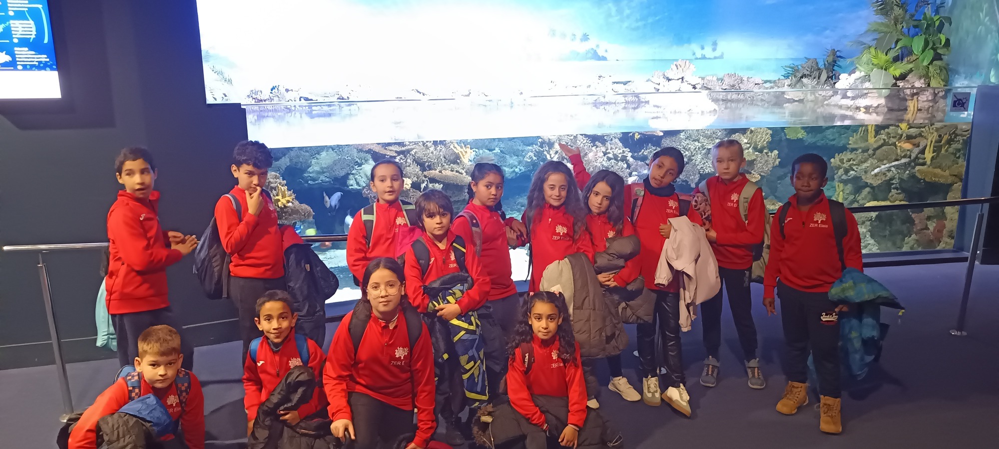 IMG_20250321_142024 (1)