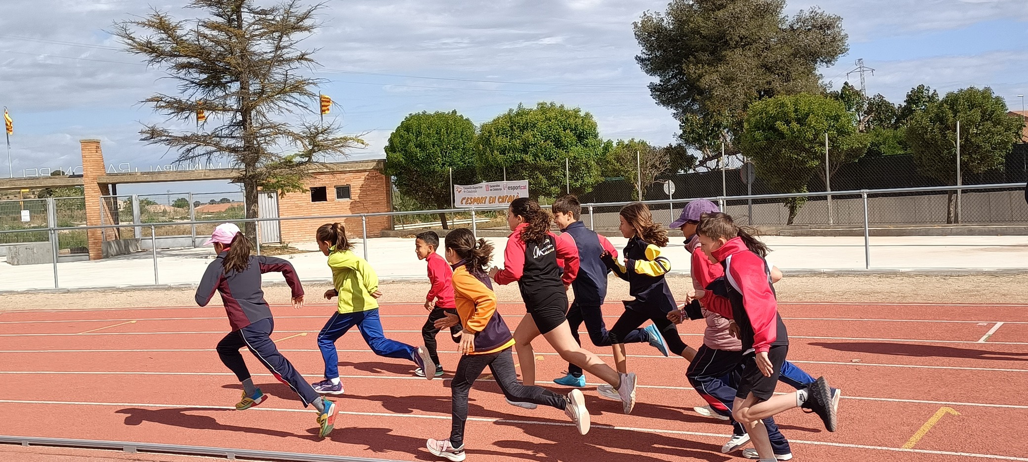 IMG20250506102956 (1)