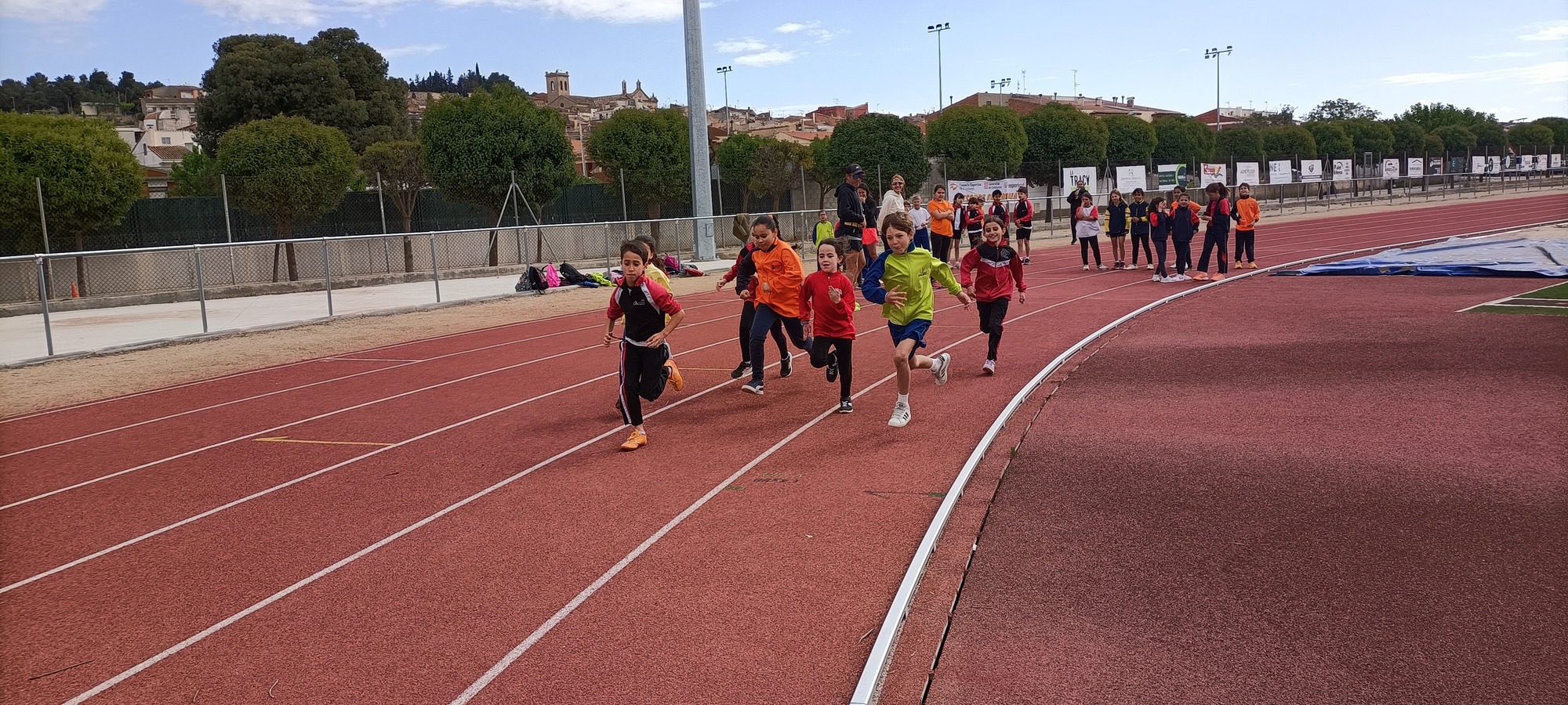 IMG20250506111904 (1)