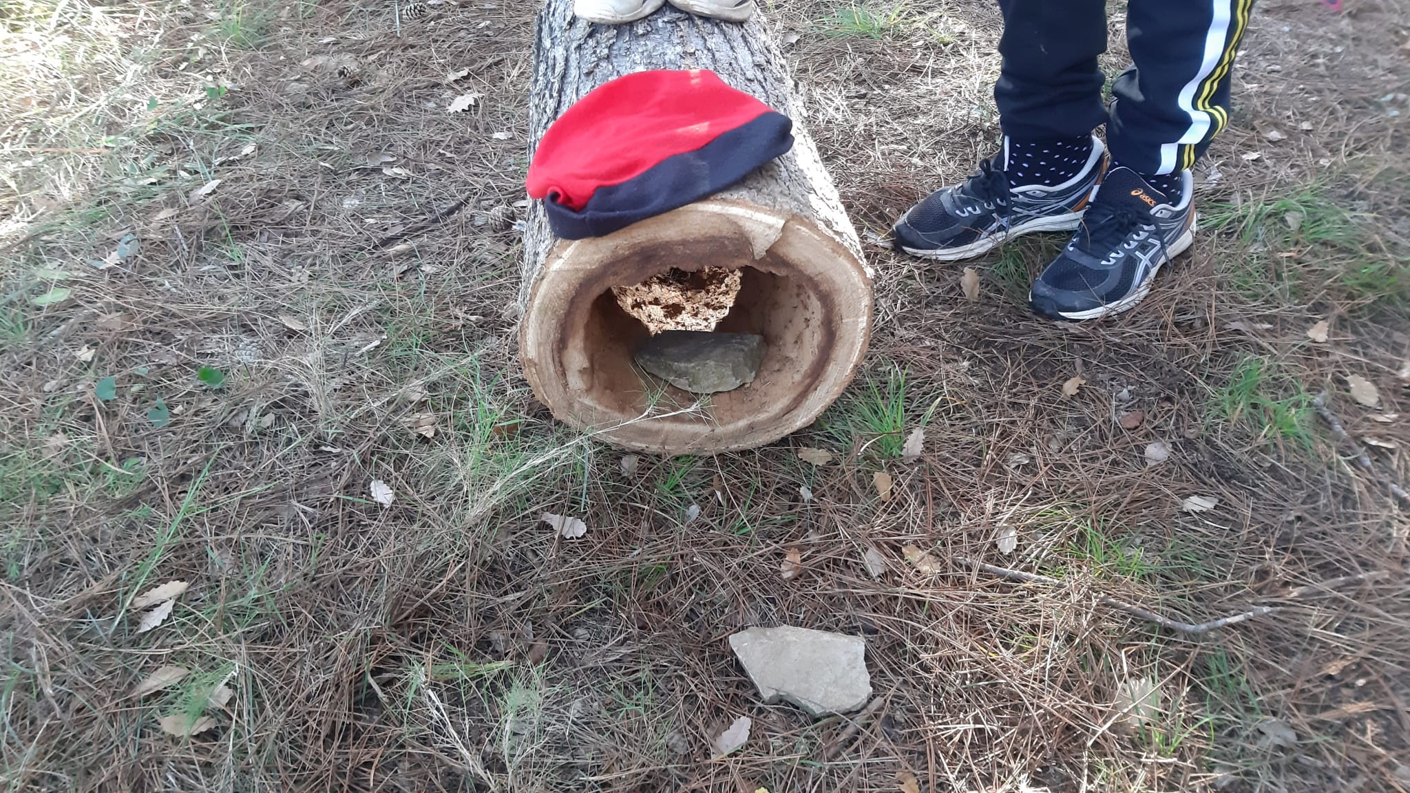 EL TIÓ AL BOSC