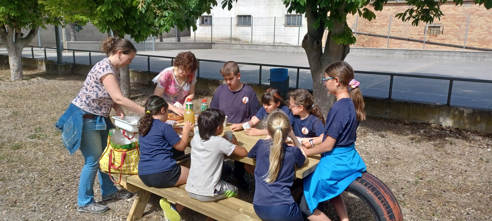 IMG-20240530-WA0014(1)