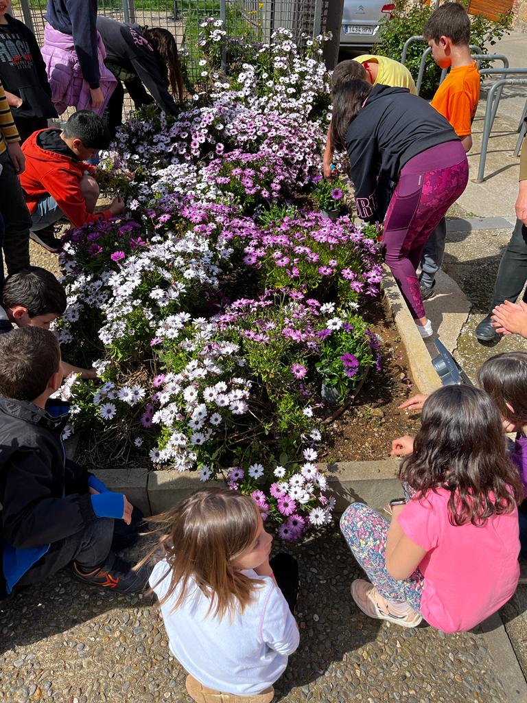 WhatsApp Image 2023-02-13 at 21.14.30 (5)