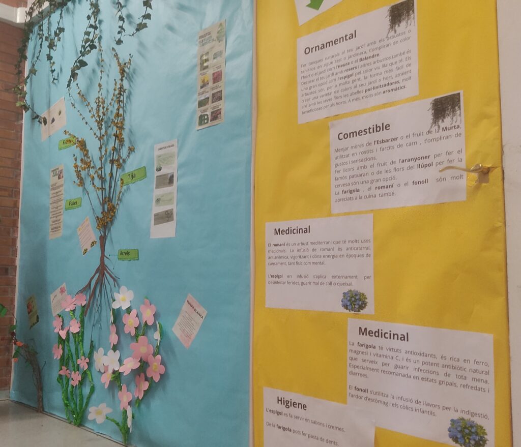 Un mural amb tota la informació del projecte dels arbustos