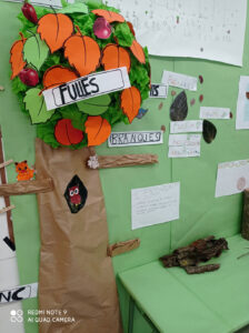 mapa del projecte de menuts