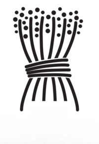 logo de l'escola, es tracta d'un paquet d'ordi lligat en representació als camps de la segarra