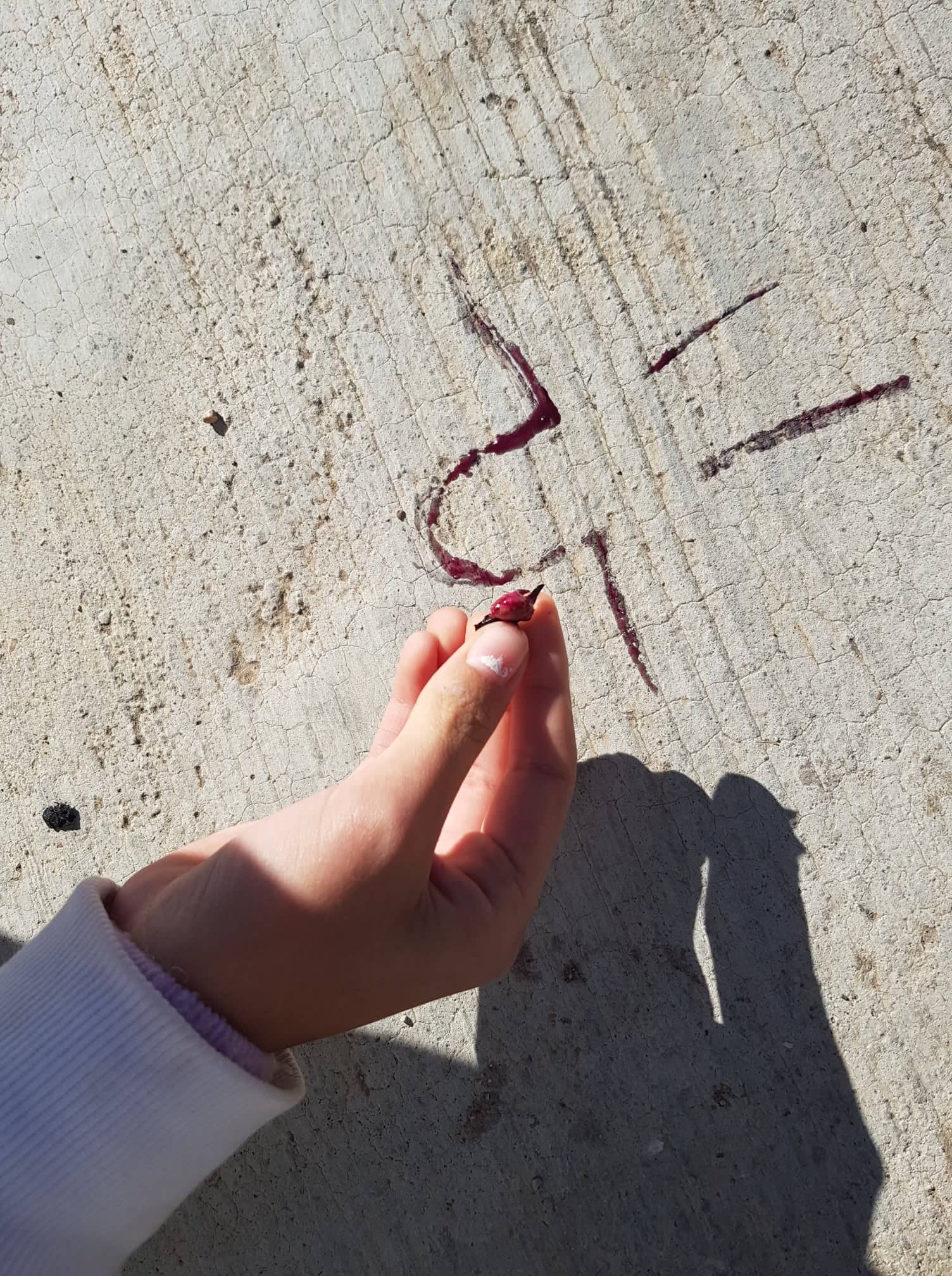 251533403_245803177438219_7117404753918509197_n