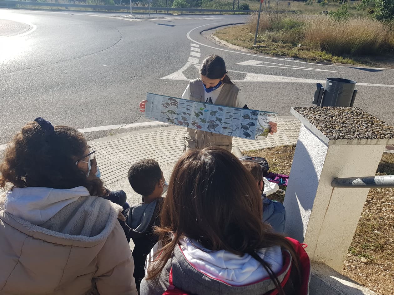 251583030_311465830492003_1749847302259057471_n