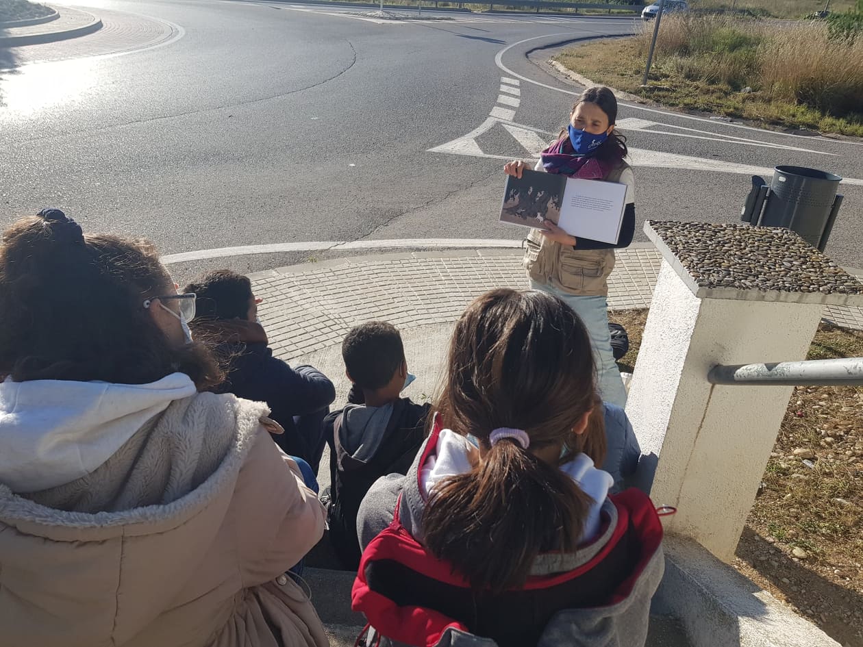 252593437_178601044459369_781980059256837982_n