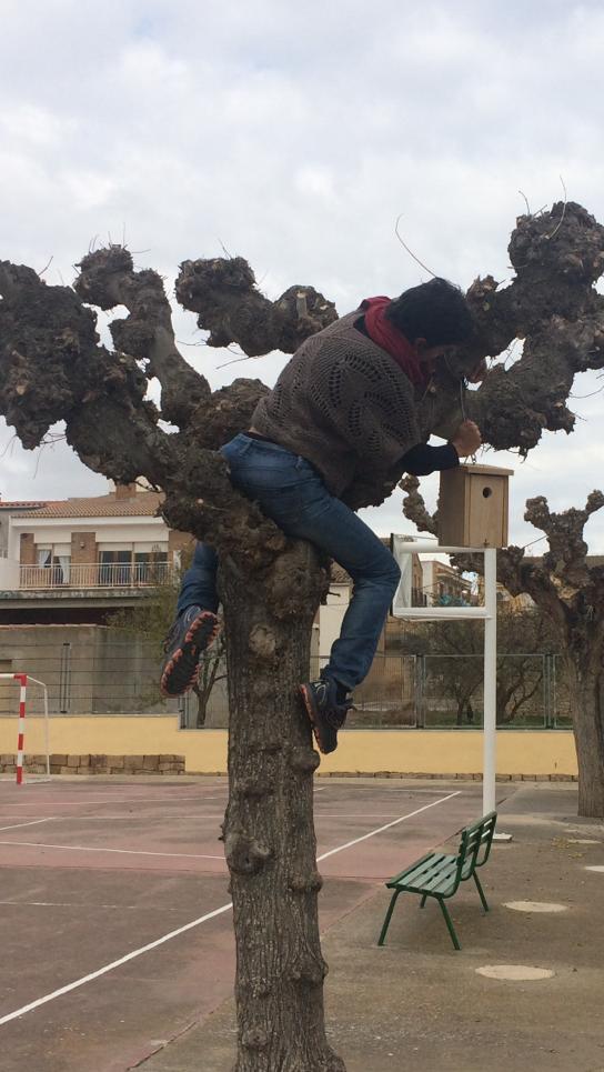 Foto enviada per Olga